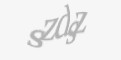 Güvenlik kodu