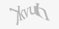 Güvenlik kodu